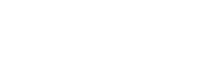 NZSM.png